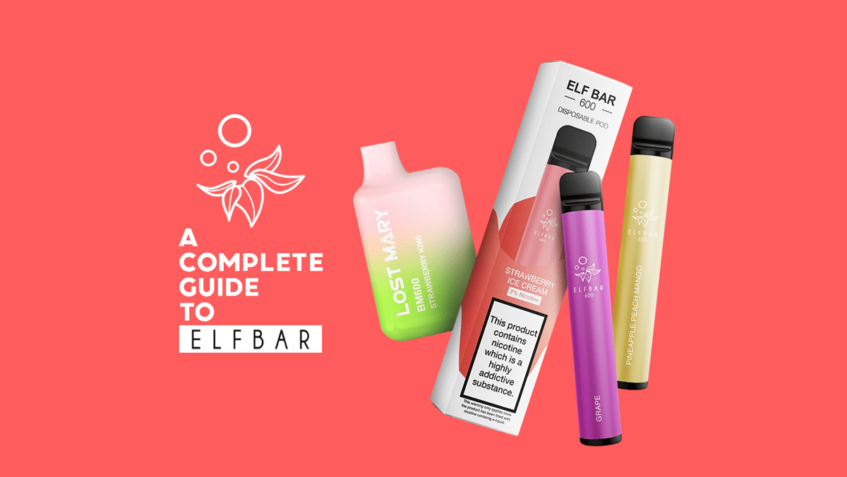 Elf Bar 600 | Best Disposable Vape Device